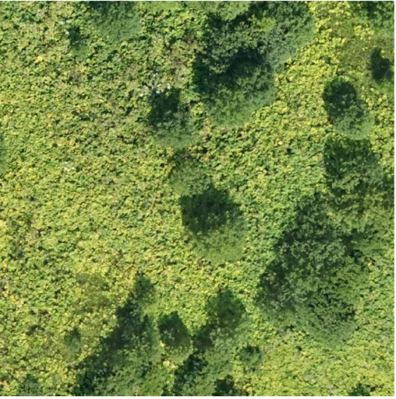 фотография сельской местности со спутника